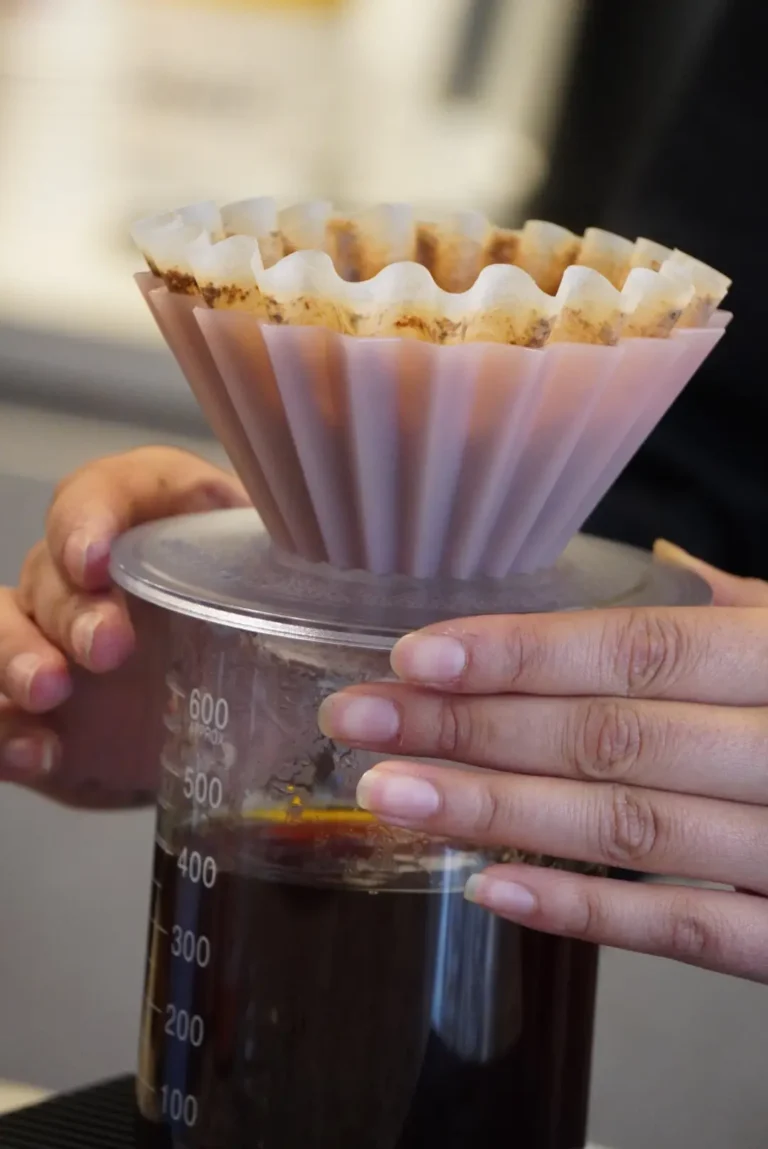 EXPERIENCIA DE BARISTA